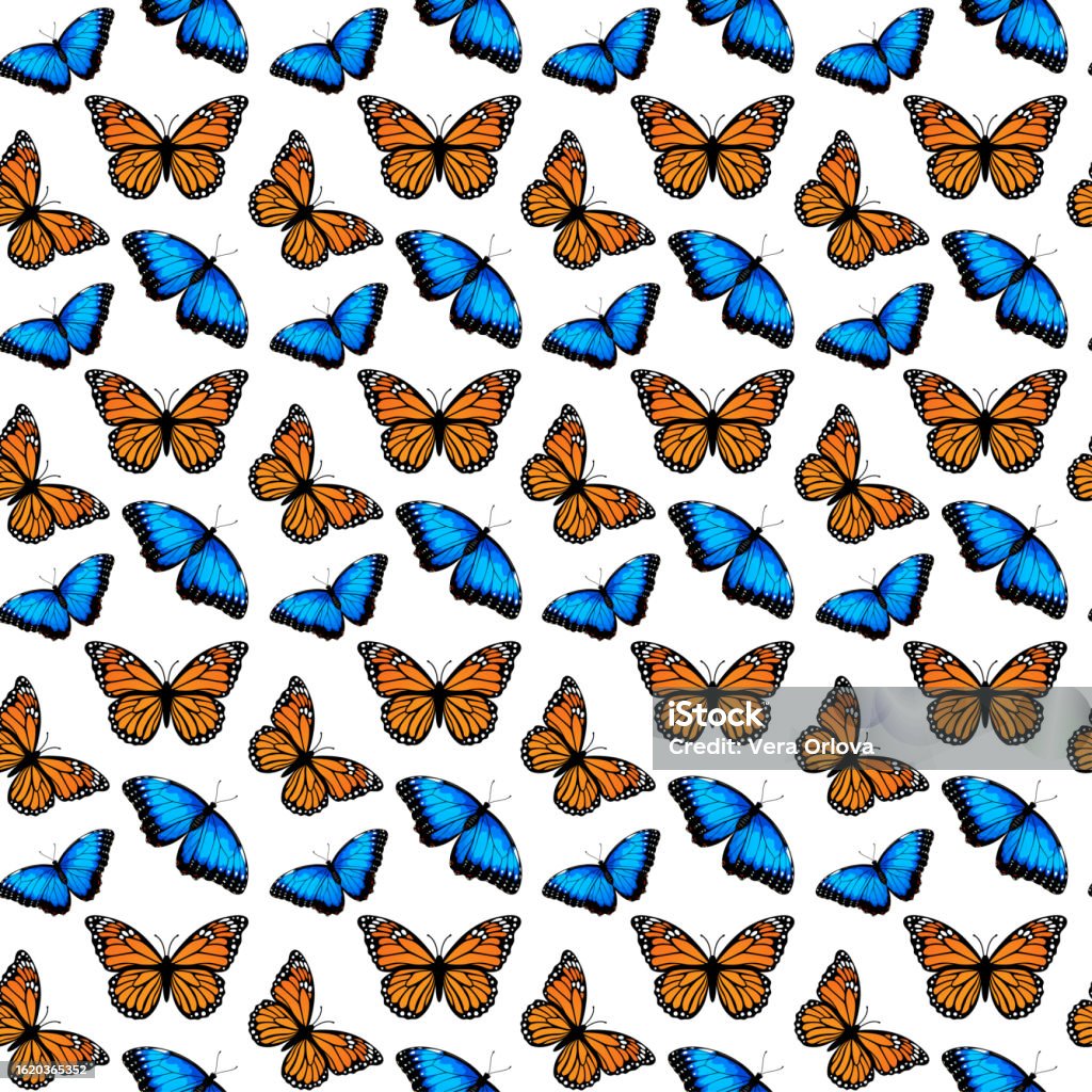 Blue Butterfly Color Pattern Seamless Pattern With Monarch Butterflies And Blue Morpho Butterflies ...