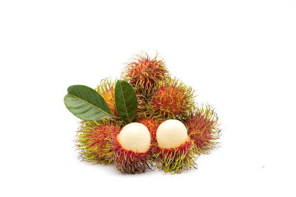 istock Rambutan delicious nature isolate on white background 1620366960