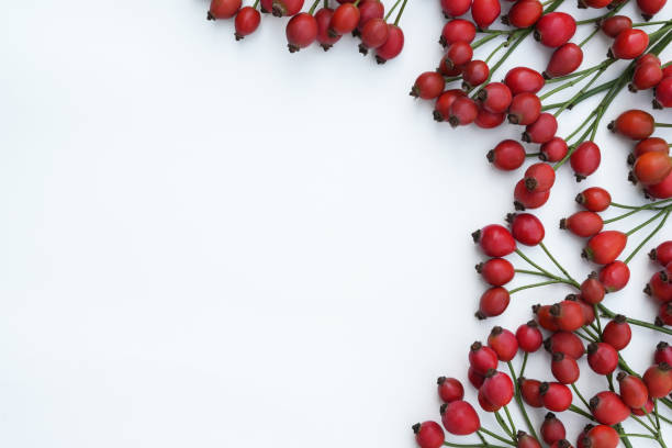 istock Rose hips berries on white background, top view. Flat lay, copy space. 1620370229