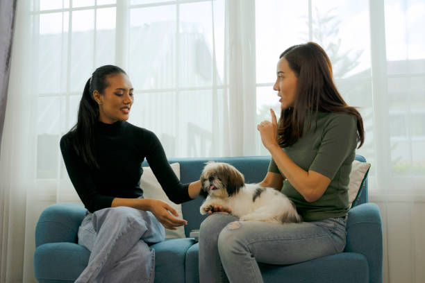 istock Friends are playing dog at home. 1620372997