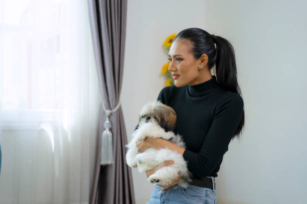 istock Friends are playing dog at home. 1620373557
