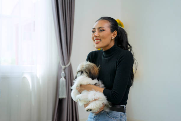 istock Friends are playing dog at home. 1620373607