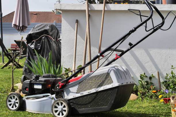 istock Lawn mower in the garden 1620384904