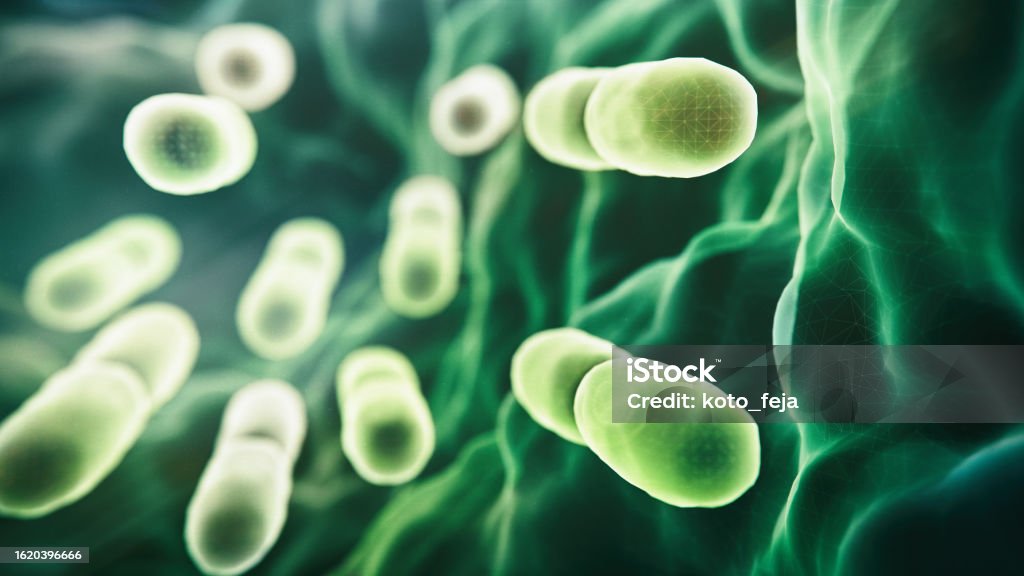 Abs Lactobacillus Bulgaricus Bacteria Abstract Lactobacillus Bulgaricus Bacteria - 3d rendered microbiology image. Medical research, health-care concept. SEM (TEM)scanning view Bacterium Stock Photo