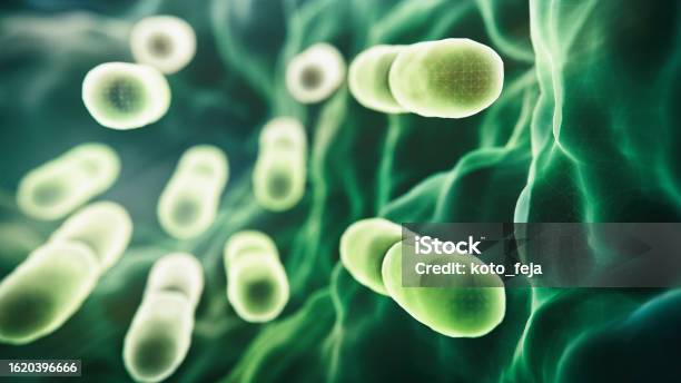 Abs Lactobacillus Bulgaricus Bacteria Stock Photo - Download Image Now - Bacterium, Abdomen, Intestine