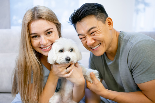 Young happy couple holds and hugs a cute white puppy.
