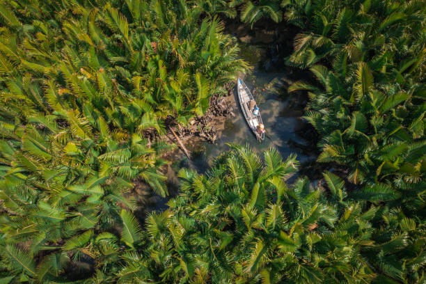 istock Catching fish in nipa palm jungle 1620437046