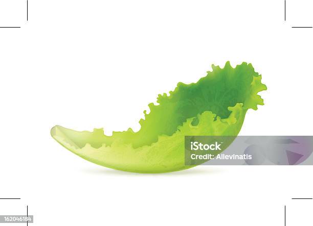 Lettuce - Arte vetorial de stock e mais imagens de Alface - Alface, Alimentação Saudável, Clip Art