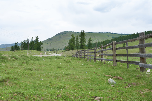 Mountain landscape with wooden fence and green meadow in summer.