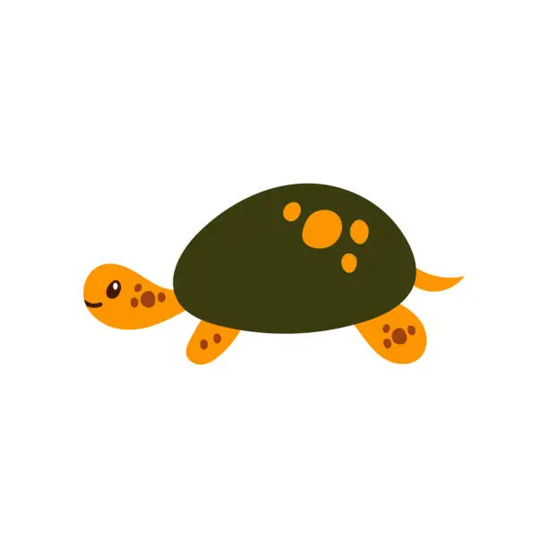 Vector illustration of Funny turtle vector illustration