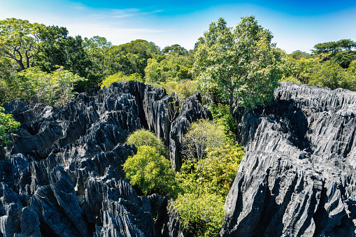 Petit Tsingy de Bemaraha, Strict Nature Reserve located near the western coast of Madagascar. UNESCO World Heritage with unique geography, mangrove forests, and animal. Madagascar wilderness landscape