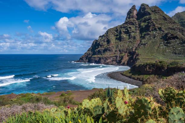 istock Punta del Hidalgo ocean coastline, Tenerife 1620536149