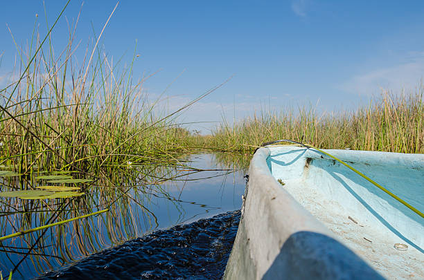 In a kayak trough the Okavango Delta
