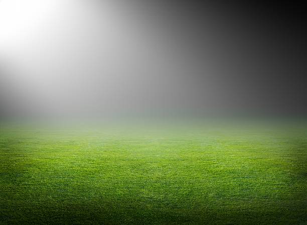 istock A green soccer field filled with light from a spotlight 162055247