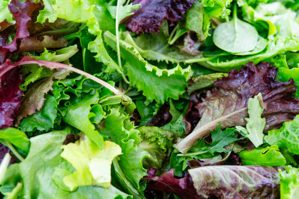 istock Green salad leaves 1620555438