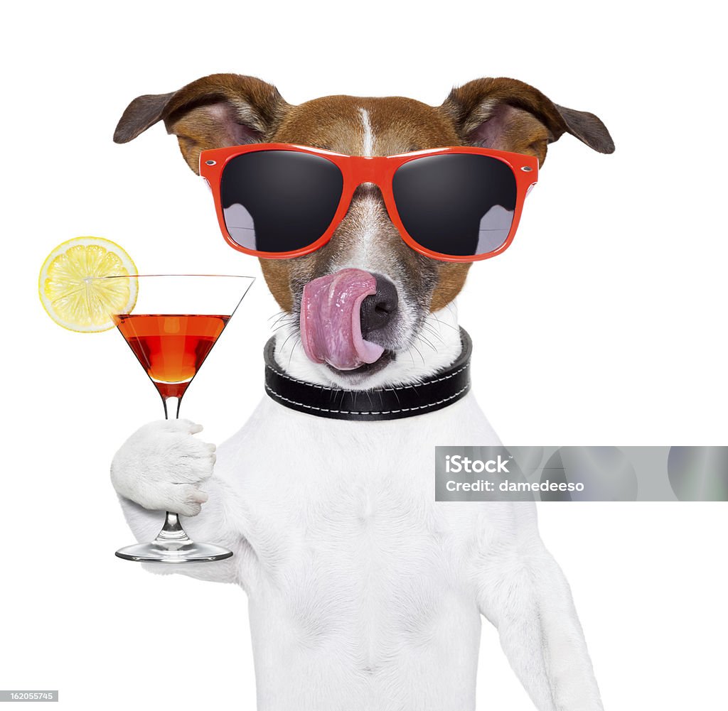 Собака с коктейль - Стоковые фото Мартини роялти-фри