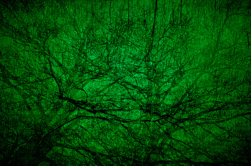 Abstract background of tree brances in green.