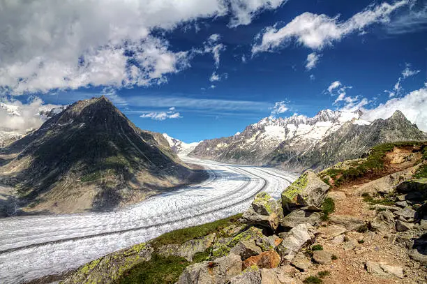 Beautiful panorama of the breathtaking Aletsch glacier as seen from the Bettmer alp in switserland, on a sunny day with clouds in summer. HDR