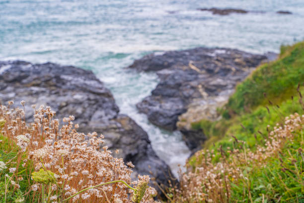 istock Godrevy/Gwithian Coastline. 1620572334