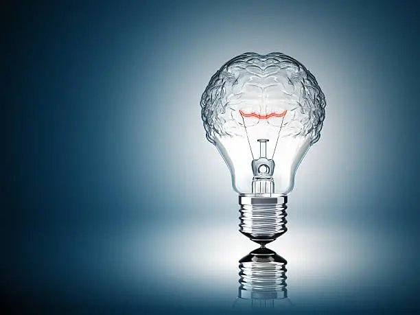 Photo of Light Bulb Brain