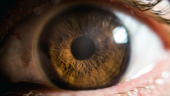 Extreme close-up of a cat's beautiful eye