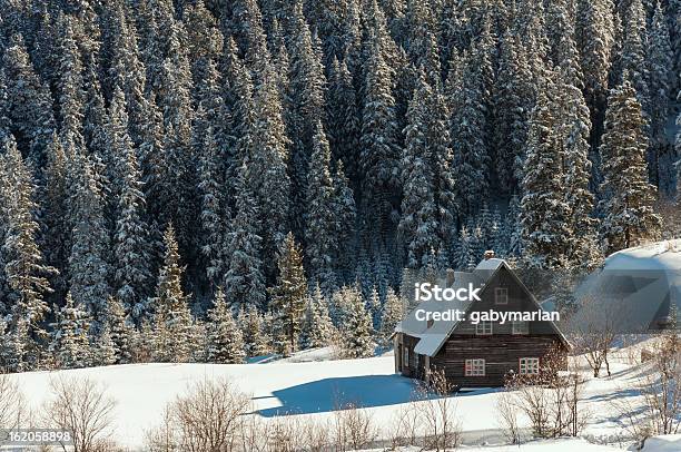 Winter Postacard Stockfoto und mehr Bilder von Après-Ski - Après-Ski, Baum, Beengt