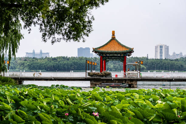 istock Ancient pavilions and lotus flowers 1620599223
