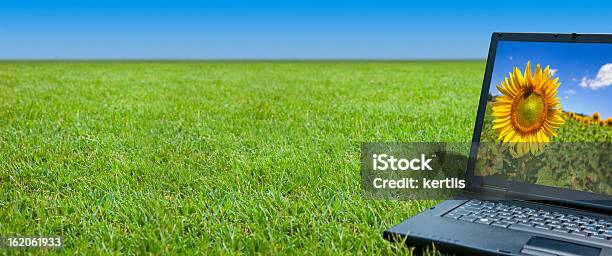 Laptop And Grass Stock Photo - Download Image Now - Grass, Laptop, Accessibility