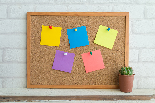 Cork board, colorful blank paper notes and cactus pot with white wall background. Bulletin board in business office, education concept.