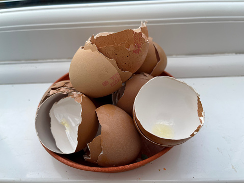 Bowl of broken eggshells