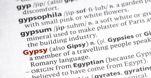 close up photo of the word gypsy