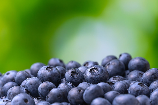 Moist blueberries background with green leaves