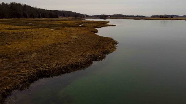 istock the water is still moving from a small patch to the ground 1620648200