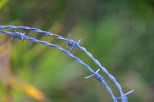 Fence with barbed wire coil on top