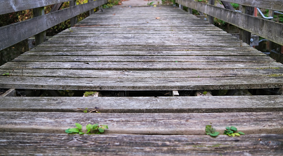Courage, new beginnings or solving problems concept: Old wooden bridge in need of renovation with a missing plank