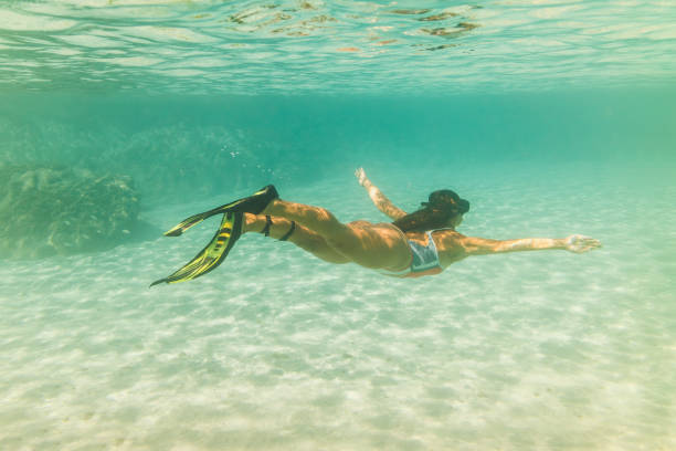 istock Enjoing In Underwater World 1620667703