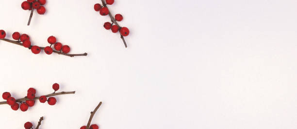 istock Banner with branches of red winterberry. 1620669578