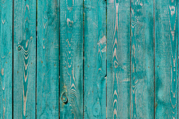 istock green fence cracked paint on a tree 1620672572