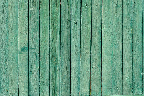 istock green fence, old cracked paint on a tree 1620672837
