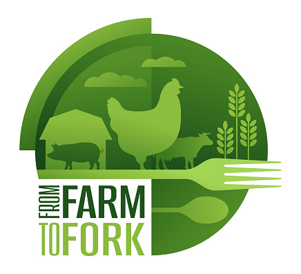 Farm-to-fork concept - social movement which promotes serving locally grown small farm foods at restaurants and schools. Direct food sales relationship