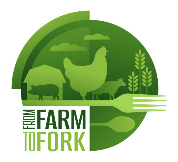 Farm-to-fork - distribution of locally grown food Farm-to-fork concept - social movement which promotes serving locally grown small farm foods at restaurants and schools. Direct food sales relationship traceability stock illustrations
