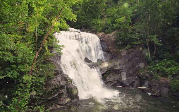 istock Misty Waterfall Kisses 1620725787