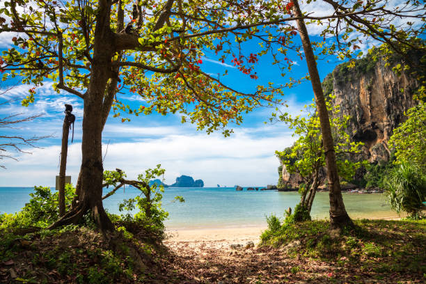 Beautiful tropical Ton Sai beach in sunny day, Krabi Thailand. Beautiful tropical Ton Sai beach in sunny day, Krabi Thailand. Travel business, summer beach holiday concept. ao ton sai stock pictures, royalty-free photos & images