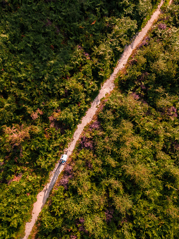 Aerial view, taken by drone, depicting a cyclist riding his mountain bike on a forest path. The cyclist is surrounded by lush foliage bathed in the warm light of early evening.