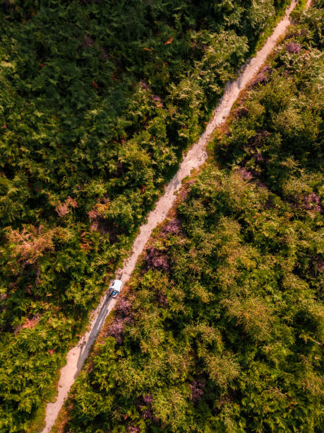 aerial view of cyclist riding on forest path - wood dirt road footpath exercising imagens e fotografias de stock