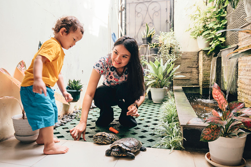 asian mother with her kid with turtle in the backyard