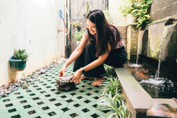 istock Asian woman  with turtle in the backyard 1620737162