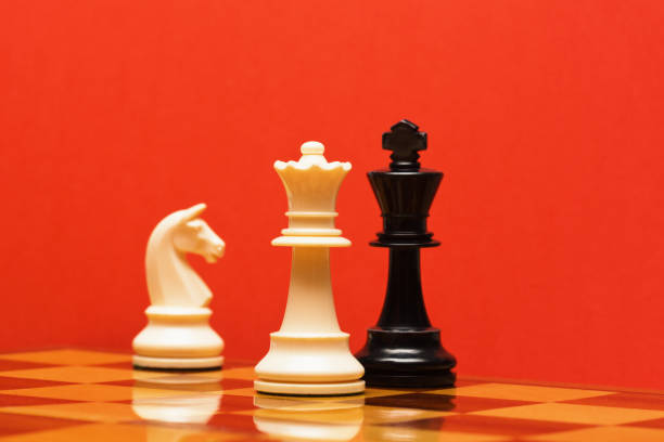 체크메이트! 하얀 여왕이 체스 게임에서 검은 왕을 물리친다 - chess leisure games chess queen skill 뉴스 사진 이미지