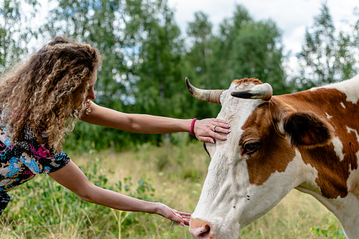 This image portrays the unbreakable bond between a woman and her cow, exemplifying the unique connection that can form between humans and animals