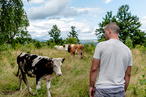 This image reflects the soulful connection between a man and his cow, where understanding and companionship flourish